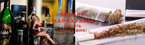 PSILOCYBIN Богданович