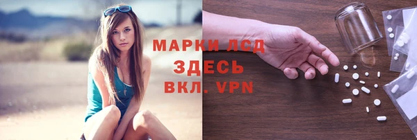 PSILOCYBIN Богданович