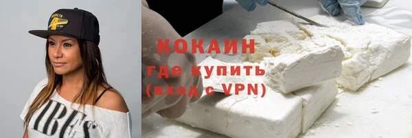 PSILOCYBIN Богданович
