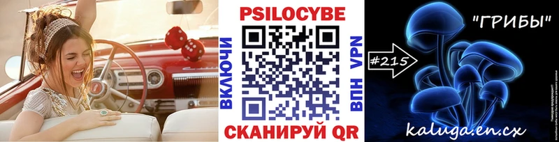 Псилоцибиновые грибы прущие грибы Хасавюрт